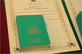 How to Buy a Vanuatu Passport Your Complete Guide 894238752